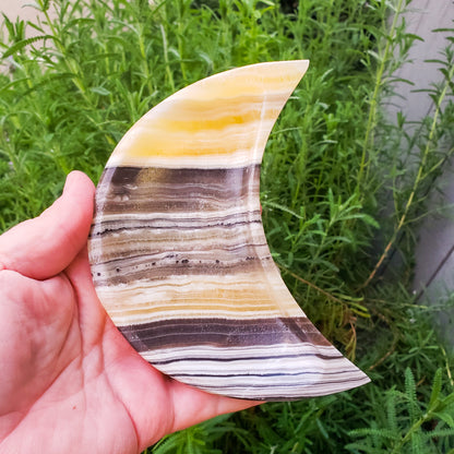 Zebra Onyx Moon Bowl by Whyte Quartz