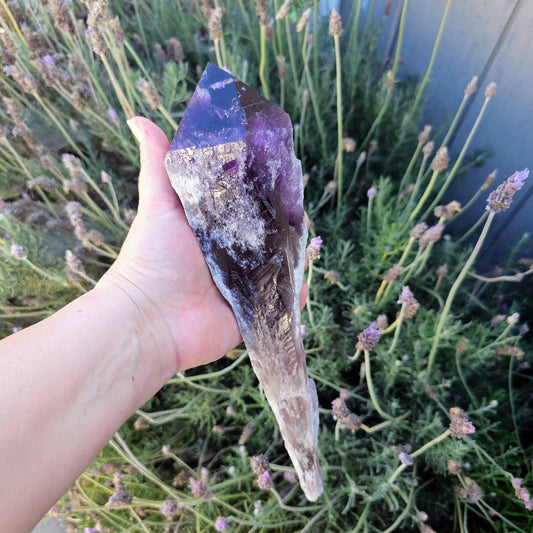 Elestial Amethyst Root Point by Whyte Quartz