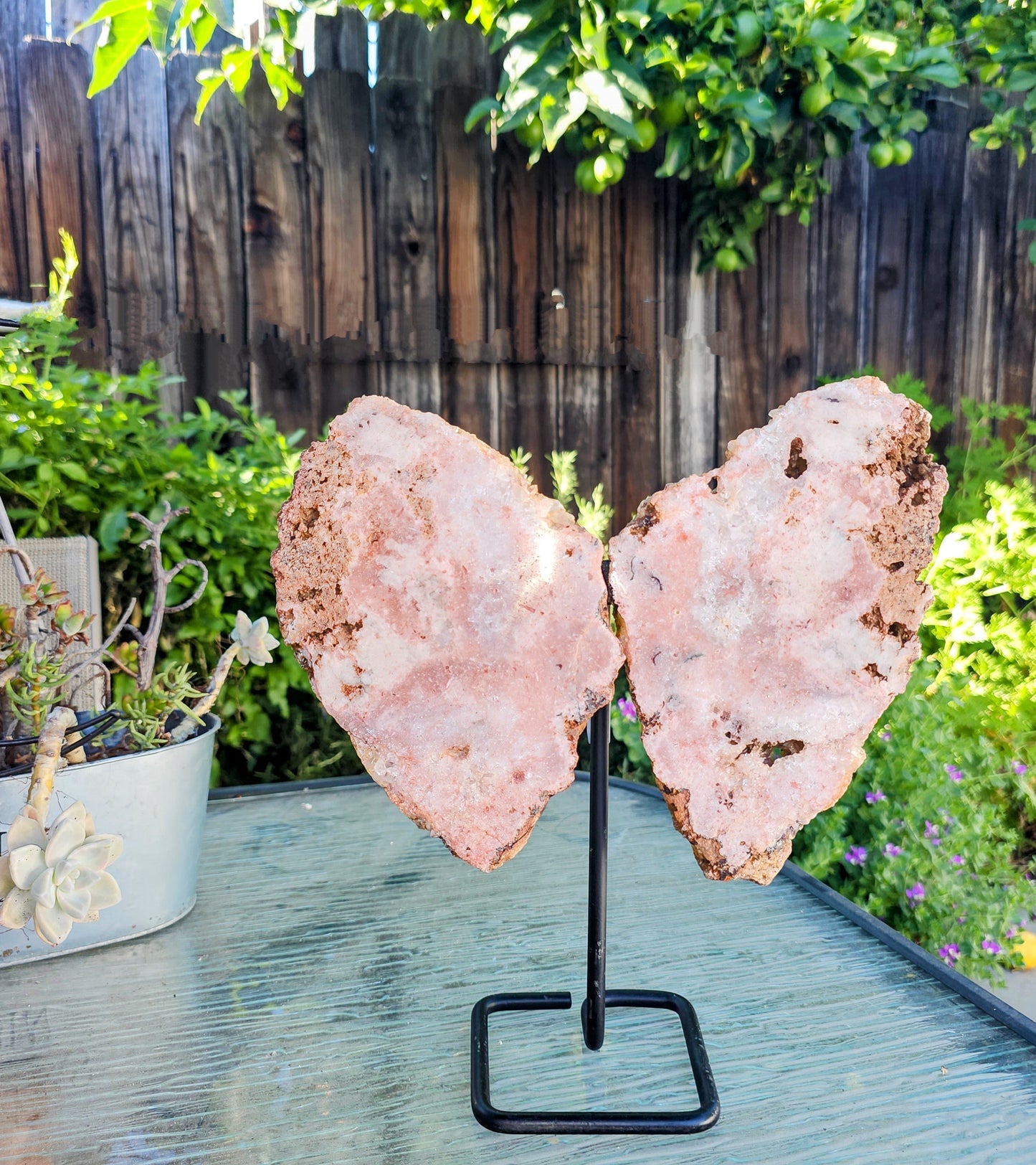 Pink Amethyst Angel Wings on Metal Base by Whyte Quartz