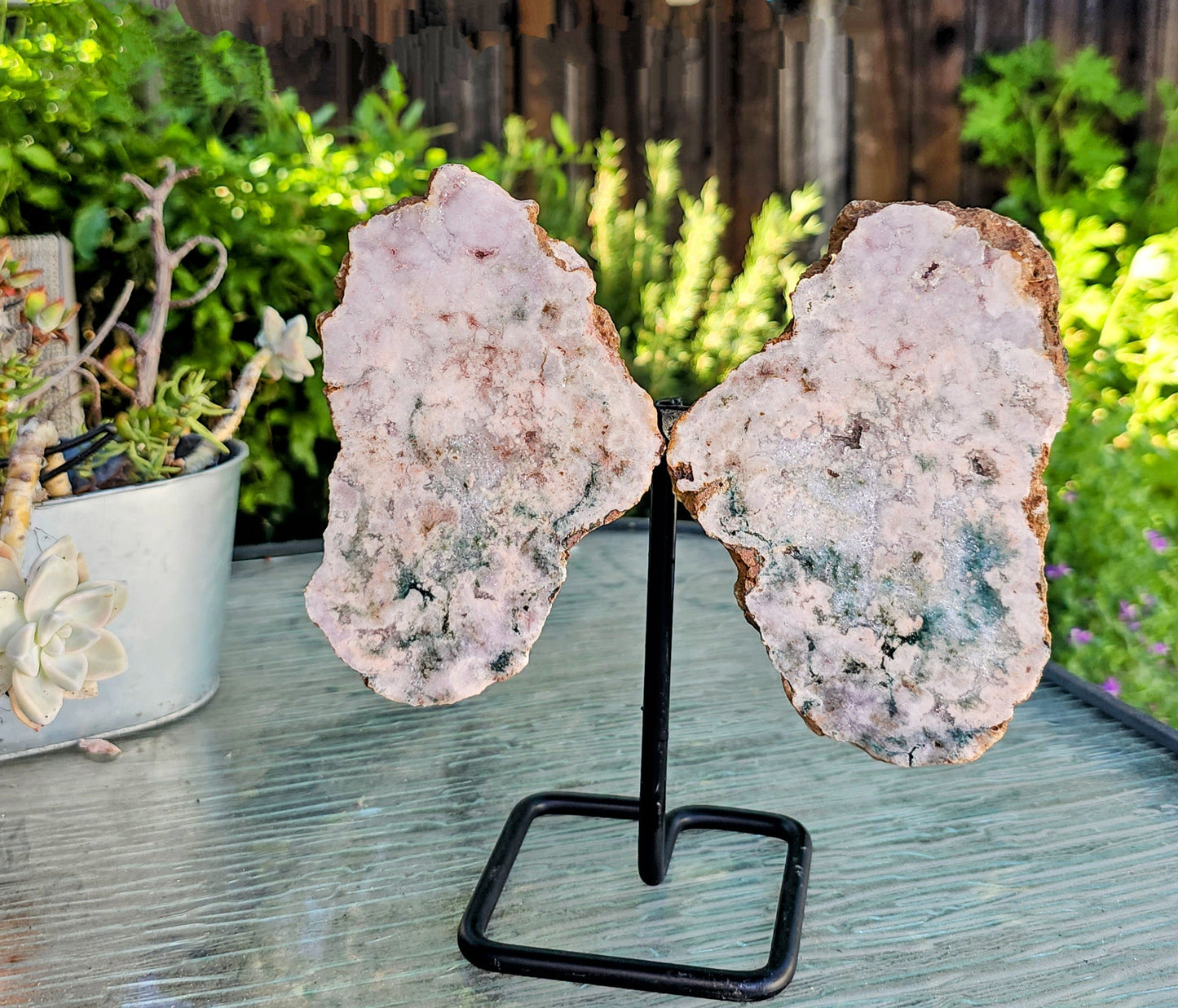 Pink Amethyst Angel Wings on Metal Base by Whyte Quartz