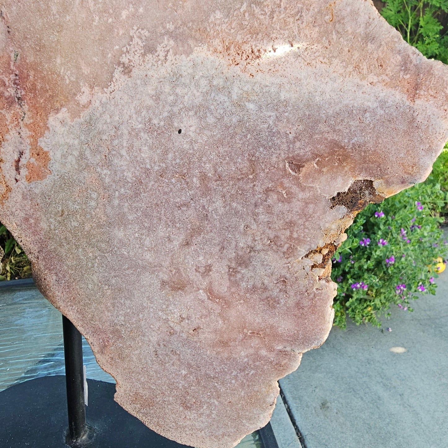 Pink Amethyst Angel Wings on Metal Base by Whyte Quartz