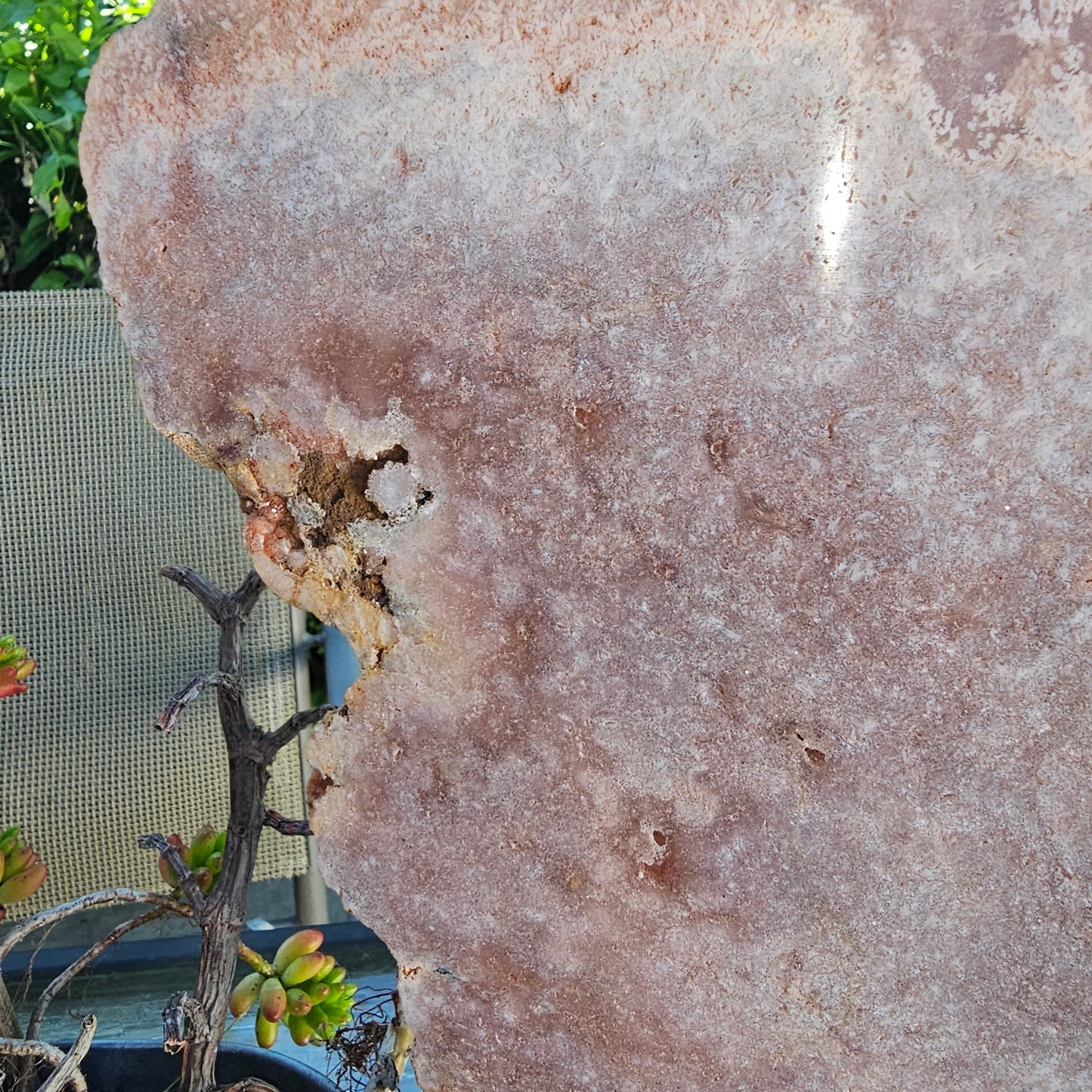 Pink Amethyst Angel Wings on Metal Base by Whyte Quartz