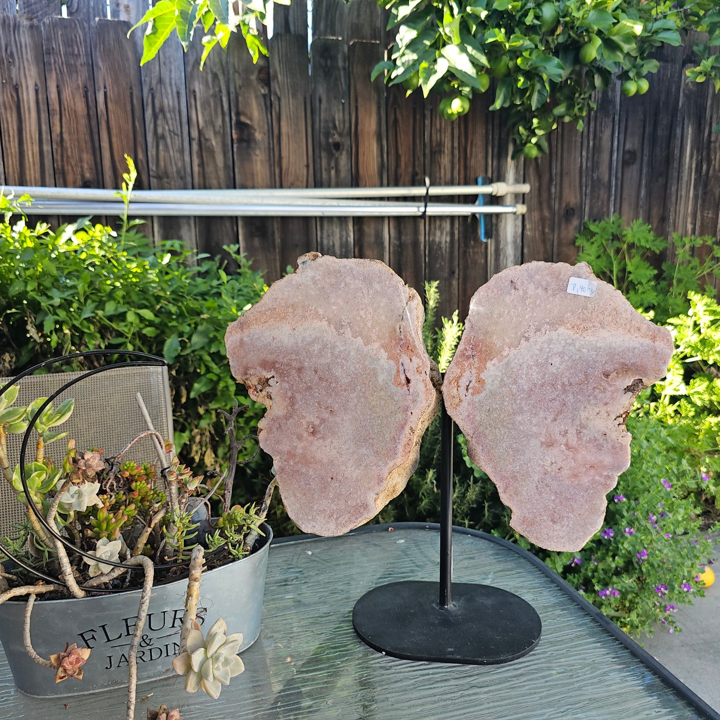 Pink Amethyst Angel Wings on Metal Base by Whyte Quartz