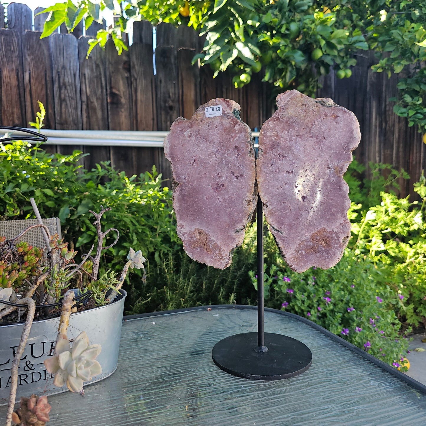 Pink Amethyst Angel Wings on Metal Base by Whyte Quartz