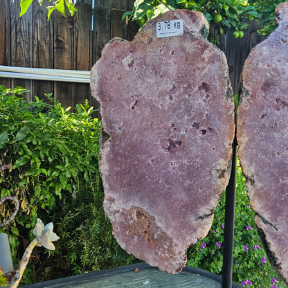 Pink Amethyst Angel Wings on Metal Base by Whyte Quartz