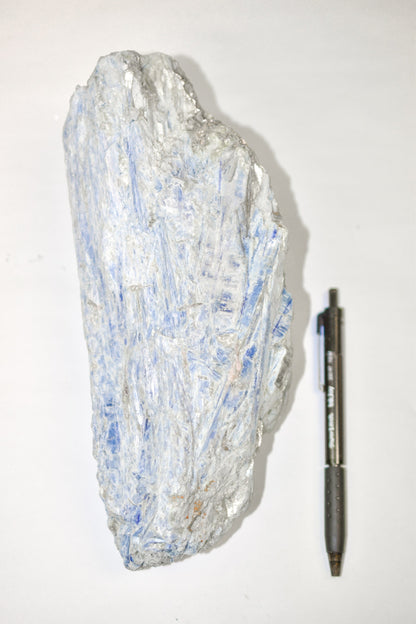 Large Blue Kyanite Display Piece by Whyte Quartz
