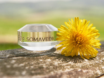 Tiny by Somavedic USA