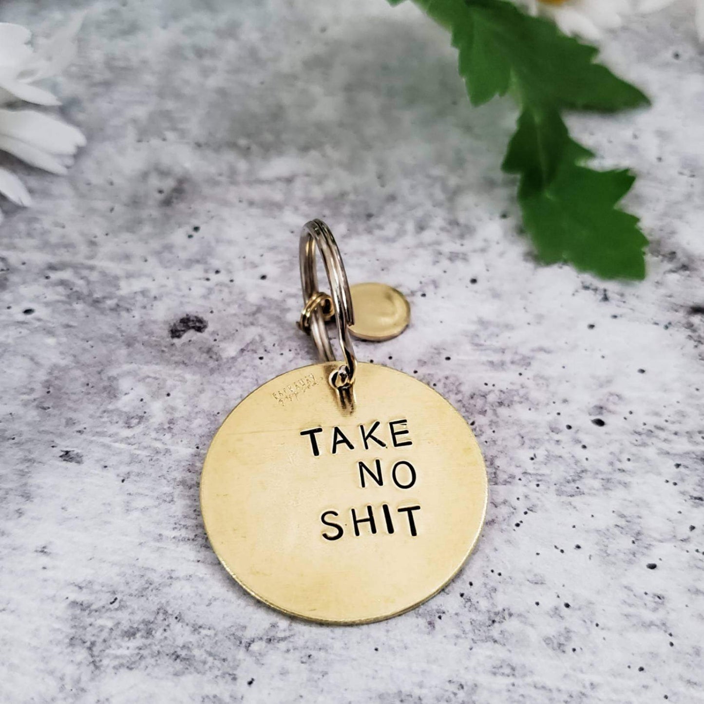 DO NO HARM Take No Shit Brass Disc Keychain by Salt and Sparkle