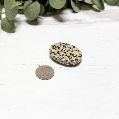 Dalmatian Jasper Worry Stone by Tiny Rituals