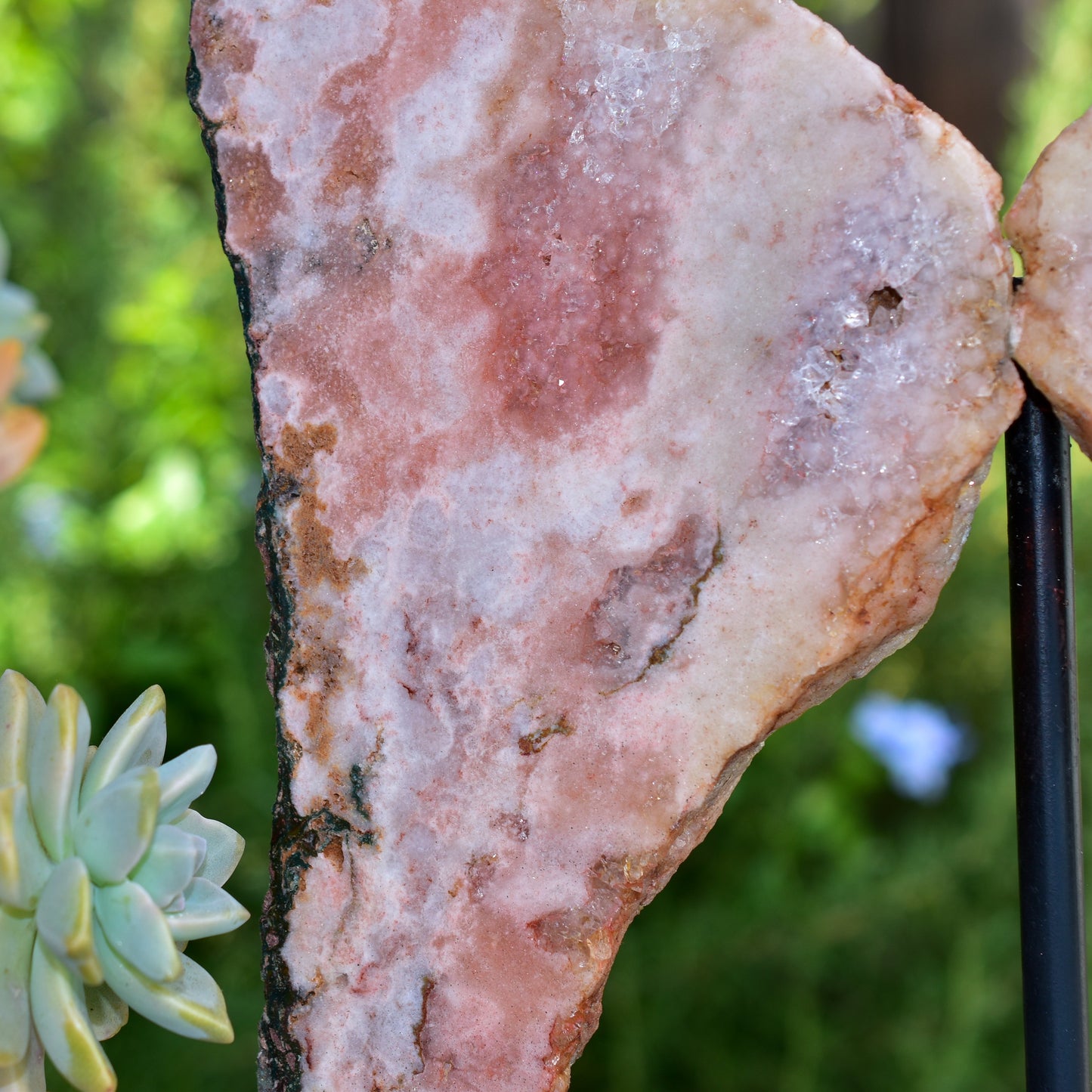 Pink Amethyst Angel Wings on Metal Base by Whyte Quartz