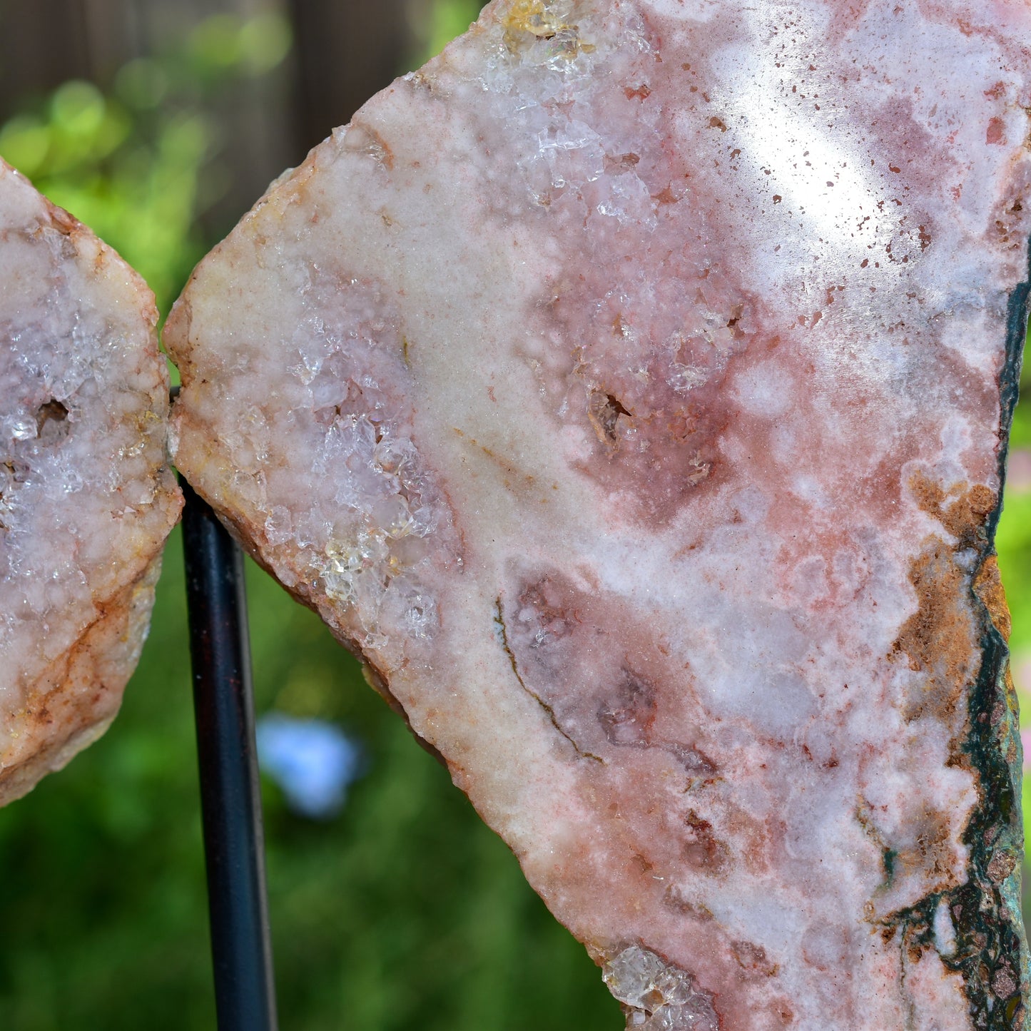 Pink Amethyst Angel Wings on Metal Base by Whyte Quartz