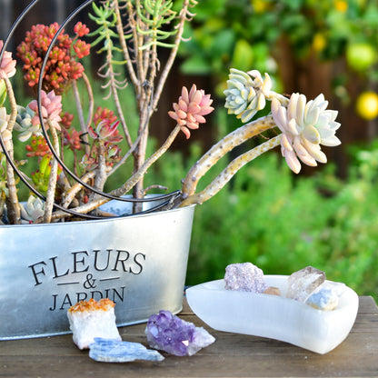 NEW Selenite Moon Bowls by Whyte Quartz