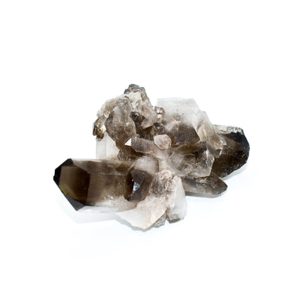 Smokey Quartz Clusters by Whyte Quartz