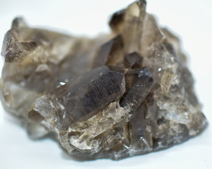 Smokey Quartz Clusters by Whyte Quartz