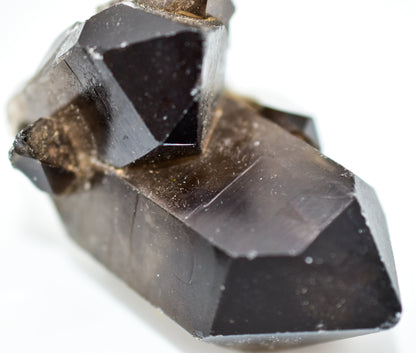 Smokey Quartz Clusters by Whyte Quartz