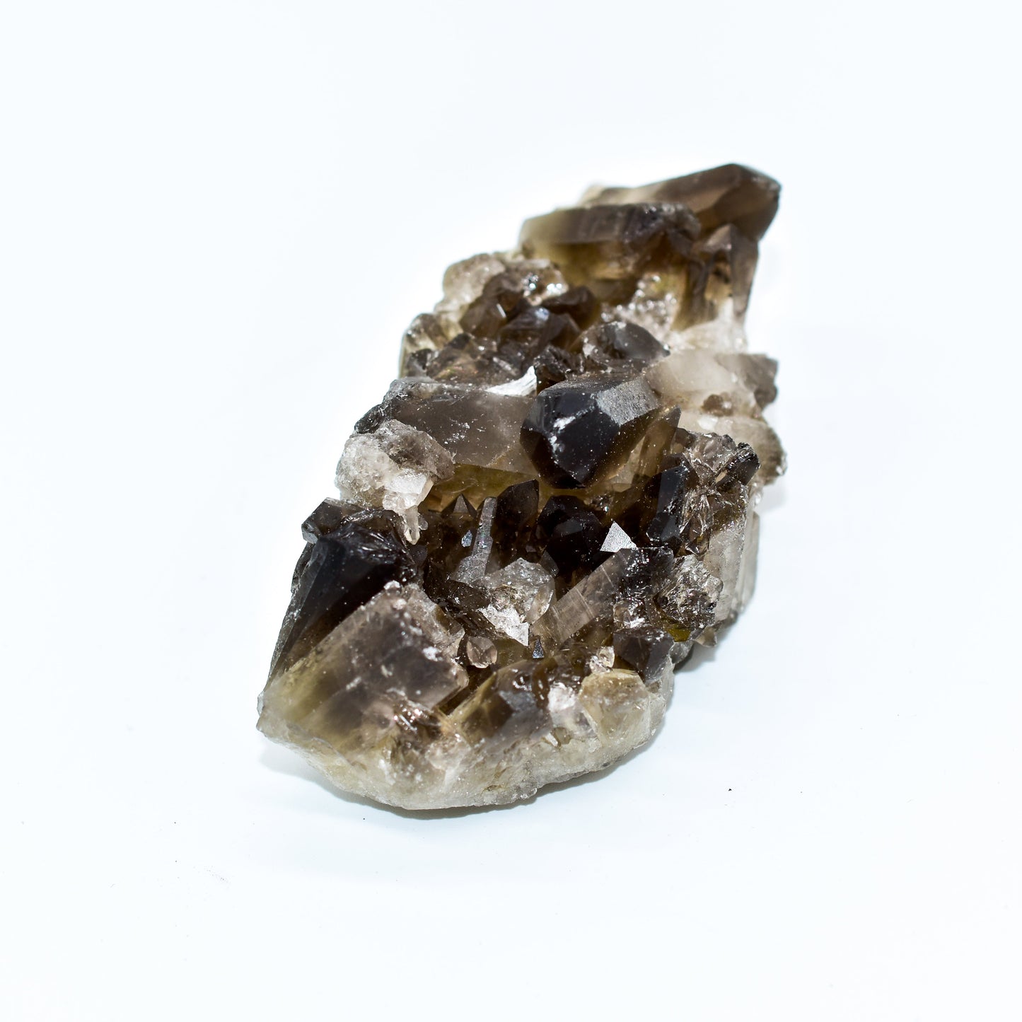 Smokey Quartz Clusters by Whyte Quartz