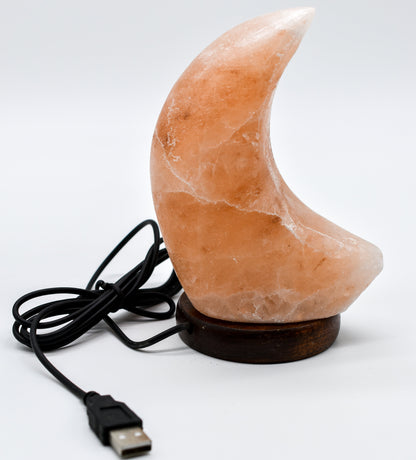 Himalayan Salt Moon Lamp by Whyte Quartz