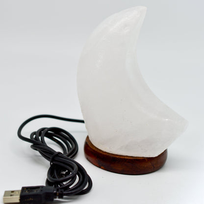 Himalayan Salt Moon Lamp by Whyte Quartz