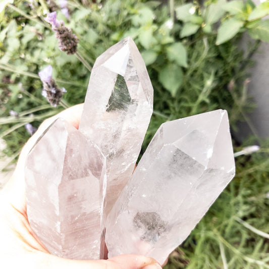 Crystal Quartz Points by Whyte Quartz