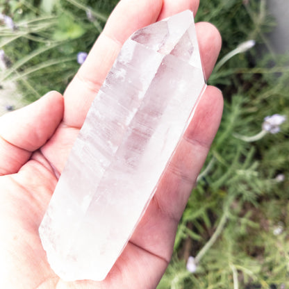 Crystal Quartz Points by Whyte Quartz