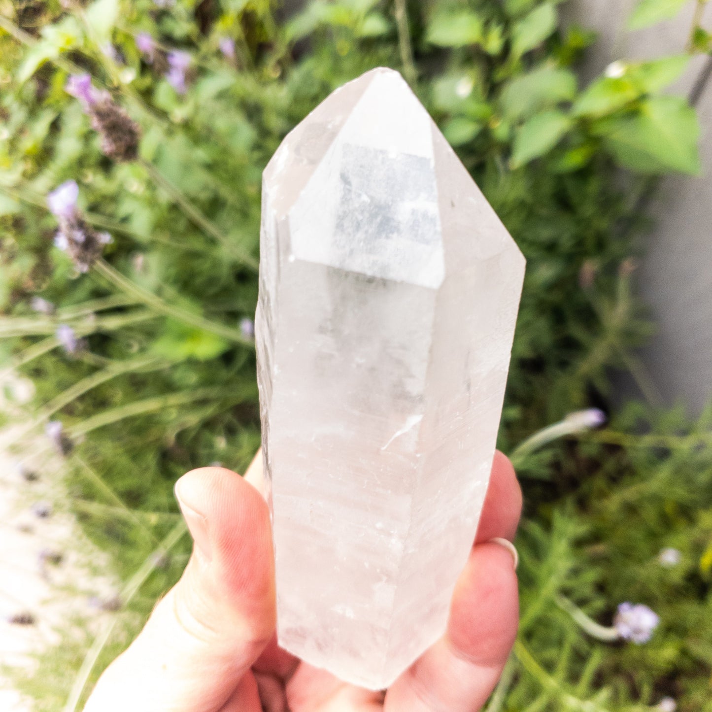 Crystal Quartz Points by Whyte Quartz