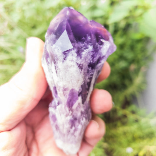 Elestial Amethyst Points by Whyte Quartz