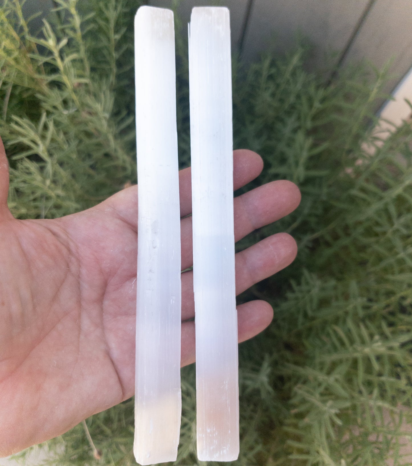 Selenite Sticks 8" by Whyte Quartz