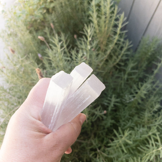 Selenite Sticks 4" by Whyte Quartz