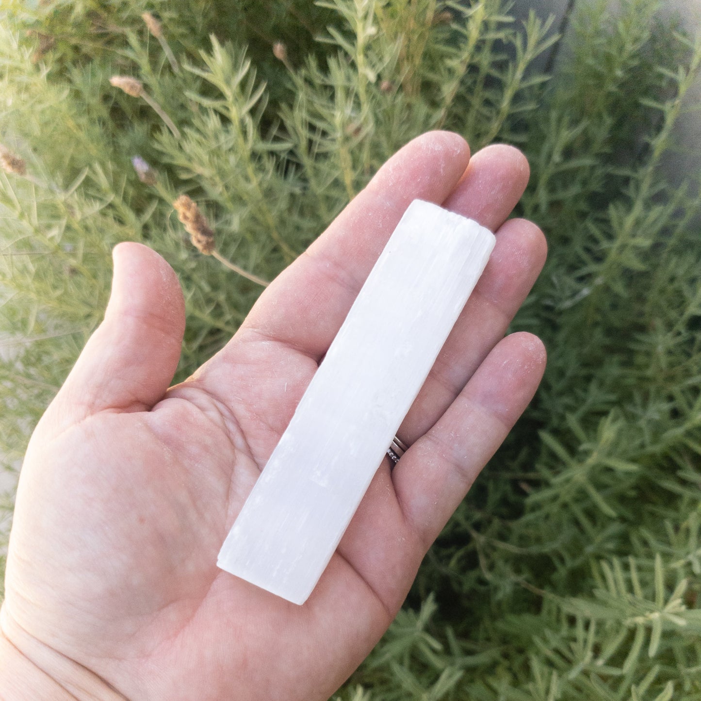 Selenite Sticks 4" by Whyte Quartz