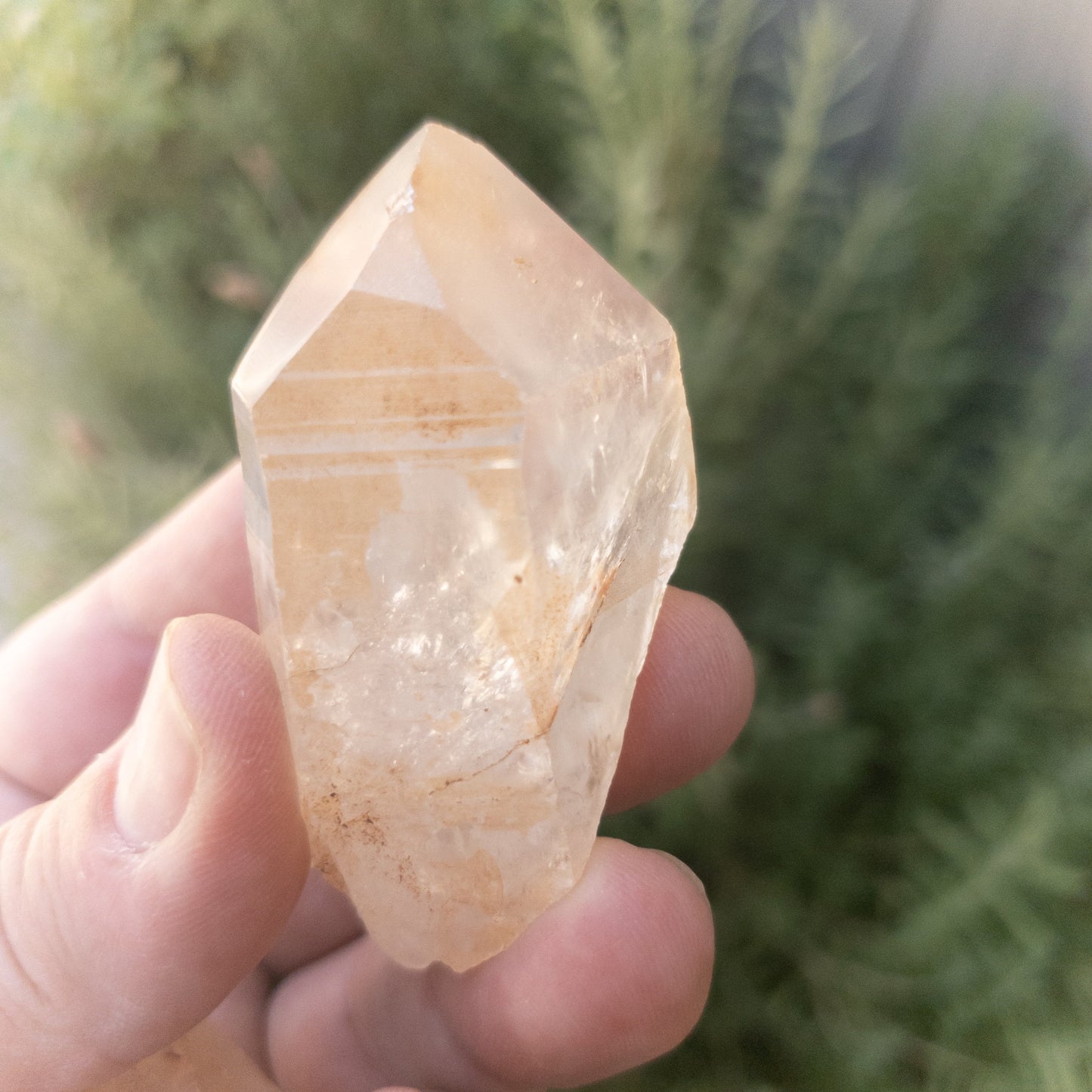 Tangerine Quartz Points by Whyte Quartz