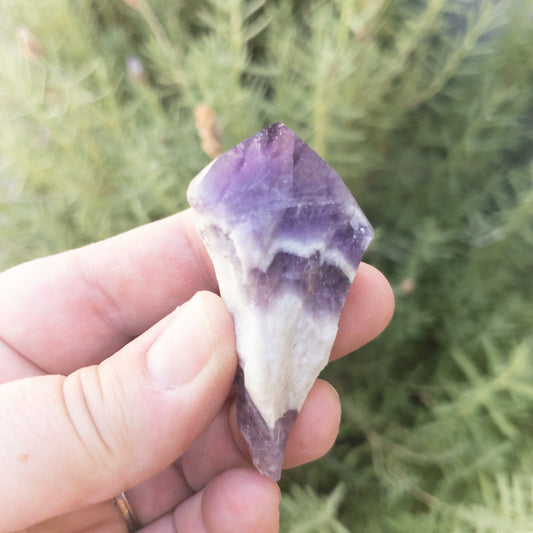 Gorgeous Chevron Amethyst Points by Whyte Quartz