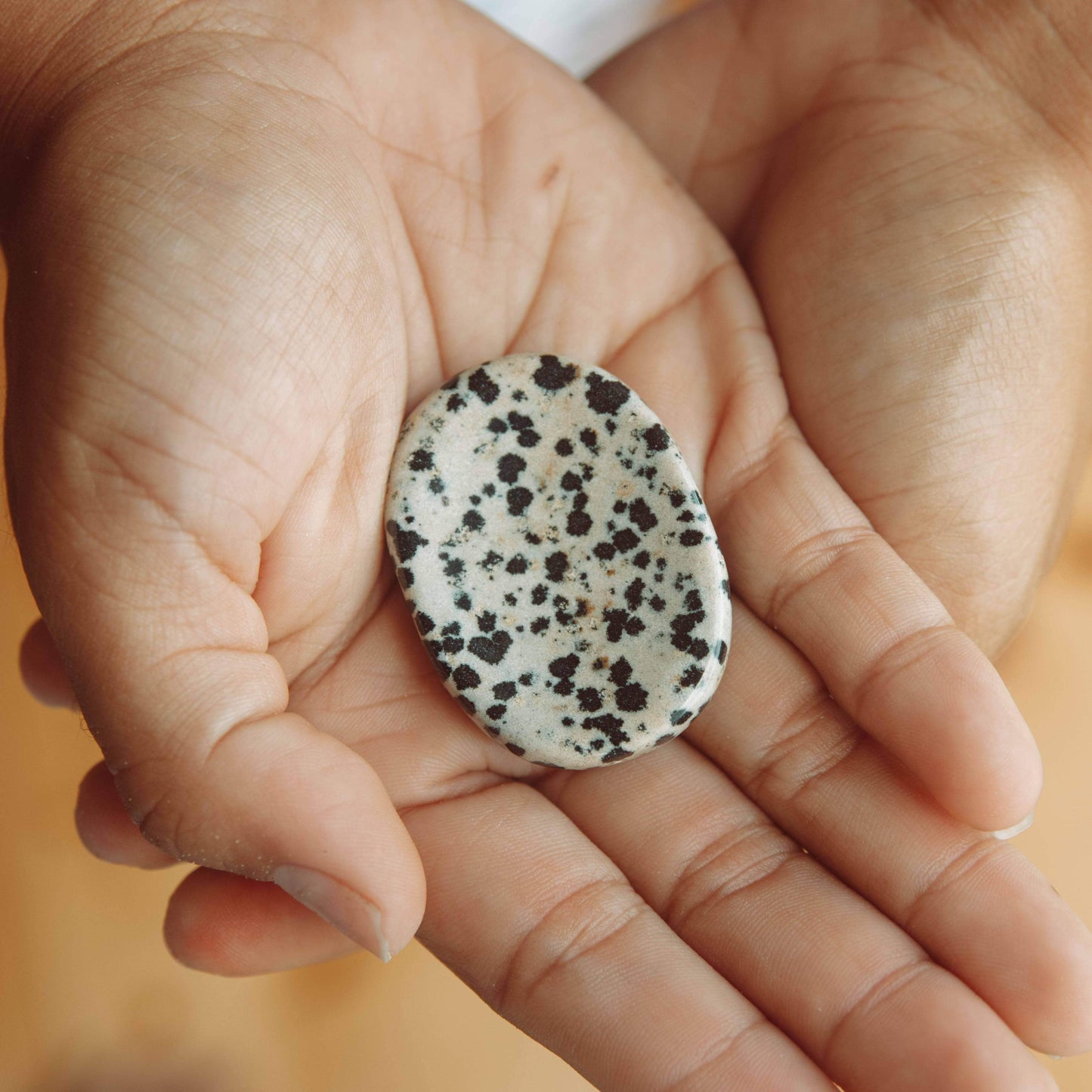 Dalmatian Jasper Worry Stone by Tiny Rituals