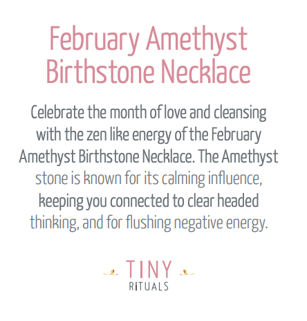 February Amethyst Birthstone Necklace by Tiny Rituals