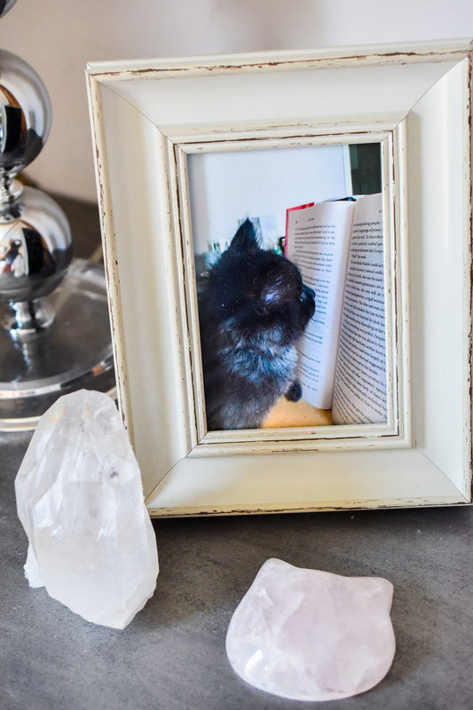 Puffy Crystal Cat Heads by Whyte Quartz